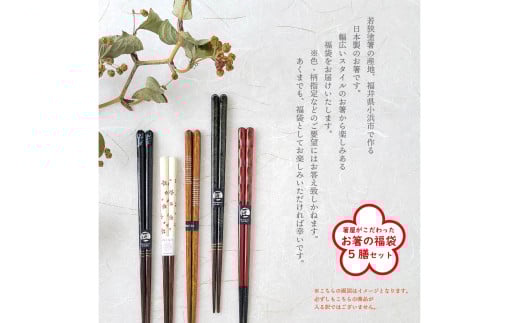 箸屋がこだわったお箸の福袋 5膳入｜日本製 箸 伝統工芸品 日用品 木彫り 木 若狭塗 天然 おしゃれ カラフル 新年 新しいお箸 新生活 新生活準備 5色 塗り箸 国産 送料無料 