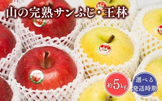 
                  ≪選べる発送時期≫ 山の完熟サンふじ・王林約5kg【青森県 平川市 吹田りんご園】王林 おうりん サンふじ ふじ りんご リンゴ アップル 果物 くだもの フルーツ 平川市産 完熟りんご<hi-0010-004-005> 
                