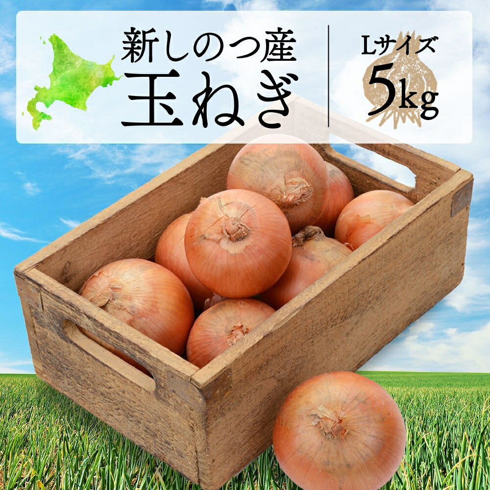 【ふるさと納税】北海道 新しのつ産 玉ねぎ Lサイズ 約5kg オホーツク222 北もみじ2000 玉葱 たまねぎ タマネギ オニオン 旬 農作物 野菜 サラダ カレー 肉じゃが 長期保存 送料無料 　お届け：2026年9月中旬から2026年10月31日