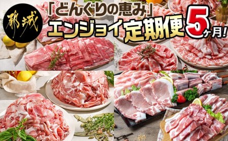 「どんぐりの恵み豚」エンジョイ定期便(5ヶ月)_T40(5)-1102_(都城市) 万能スライスセット キャンプ飯セット こま切れセット しゃぶしゃぶセットなど 毎月お届け 小分け 豚肉セット 冷凍 都城市 豚肉 ロース バラ モモ ウデ スライス スペアリブ 切り落とし ステーキ しゃぶしゃぶ