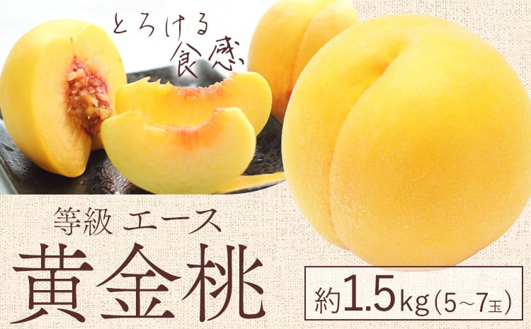 
                  【2026年先行予約】黄金桃 等級 エース 約1.5kg 5～7玉入り もも モモ 岡山 国産 フルーツ 果物 桃茂實苑《2026年8月中旬-9月上旬頃出荷》岡山県 浅口市 フルーツ 桃 もも 果物 青果【配送不可地域あり】
                