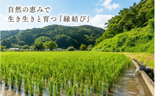 【定期便3か月 10kg】【早期予約 10月上旬から順次出荷】令和8年産 新米 精米 兵庫県産 縁結び ご縁米 5kg×2