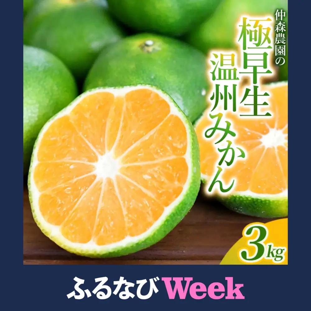 みかん 極早生温州みかん 約3kg【nkmr0015】