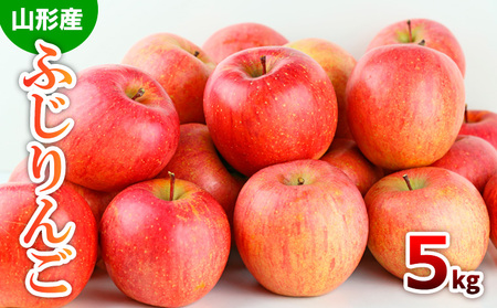 山形市産 ふじりんご 5kg(18～20玉) FZ19-428