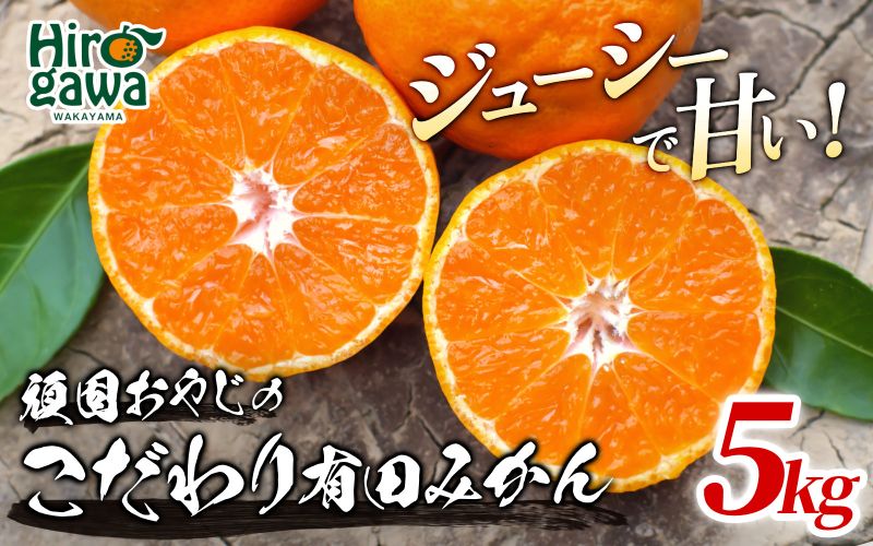頑固オヤジの 有田 みかん 5kg / 温州みかん 有田みかん 甘い 和歌山 柑橘 ※11月中旬～1月下旬に順次発送 【krf004-r-5A】