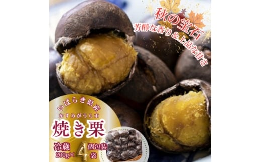 かすみがうら市産　焼き栗　200g×4袋　(冷蔵)【1340898】