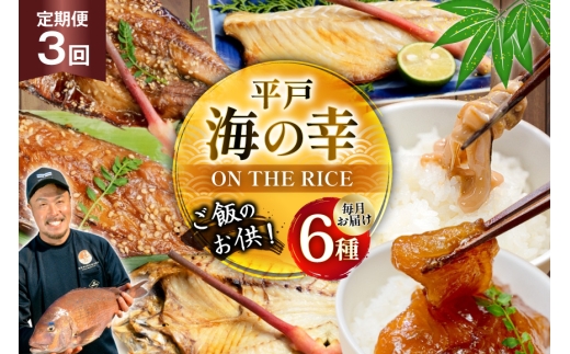 魚 干物 漬け 塩辛 ごはんのお供 塩干し みりん干し 漬け 塩辛 セット 3回 定期便 [末弘丸 長崎県 平戸市 hr42bgy420458] サバ アジ イワシ イリコ アゴ 平戸なつ香 塩干 みりん干 漬け いかの塩辛 無添加 ギフト