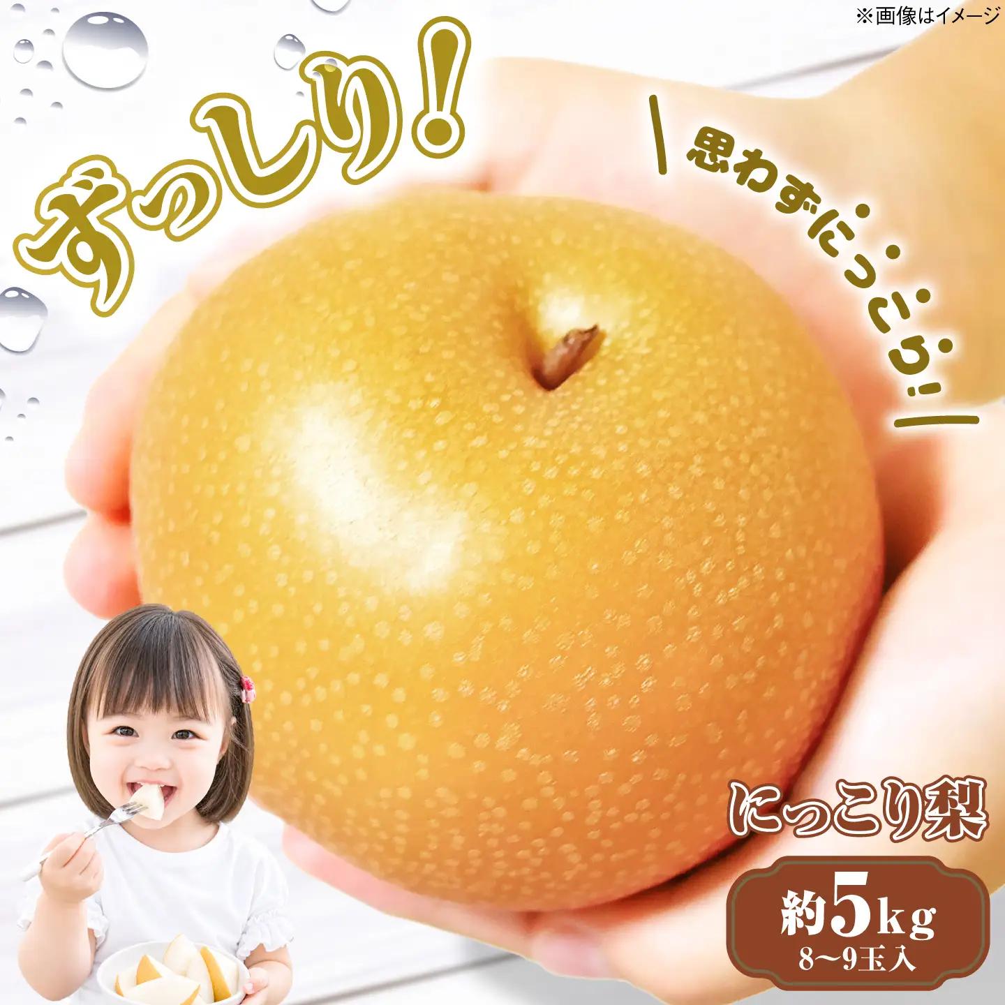 にっこり 梨 (約5kg/8～9玉入) なし ナシ 果物 フルーツ 三次市 / 西田農園[APDH001]