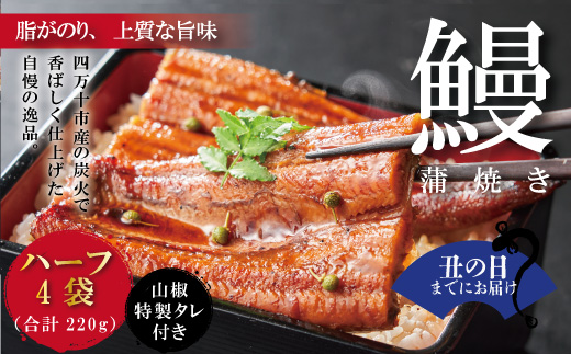 【土用の丑の日までにお届け】＜四万十食品＞うなぎ蒲焼　ハーフ4袋／ＢＣ 鰻 ウナギ うなぎ お取り寄せ グルメ お楽しみ おいしい ギフト 食品 おかず ひつまぶし 国産鰻 蒲焼 うなぎ蒲焼 鰻蒲焼 冷凍 送料無料 国産 高知 四万十 25-359U