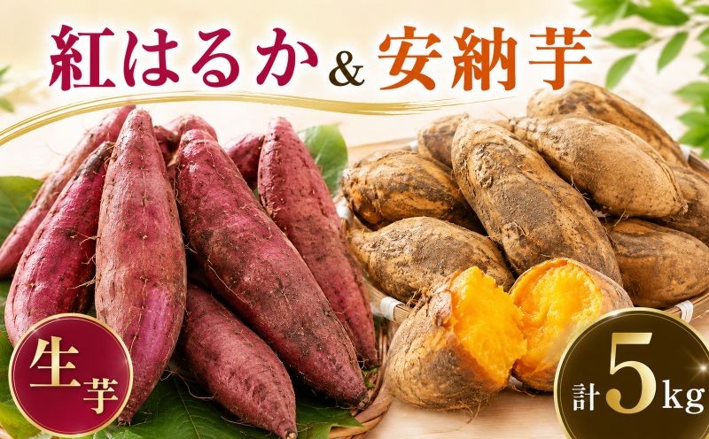 
                  【12月～3月発送】 さつまいも 紅はるか 安納芋 計5kg 生芋 土付き サツマイモ べにはるか さつま芋 甘藷 いも 芋 イモ 野菜 おやつ 泥付き 旬 産地直送 農家直送 茨城県 鉾田市 カミナリ 山一ファーム
                