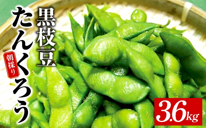 【畑から直送 朝採り】黒枝豆 3.6kg 【新鮮 野菜 泉佐野産 えだまめ やさい TONOファーム 高評価 数量限定 先行予約】