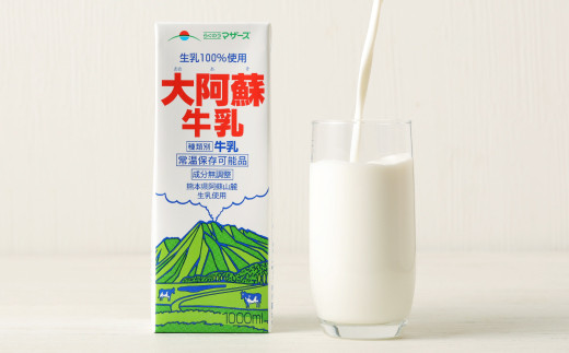 【12ヶ月定期便】 大阿蘇牛乳 1L×6本×12ヶ月 合計72L 紙パック