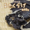 【ふるさと納税】 八千代町産 乾燥 きくらげ 約 40g キクラゲ 木耳 きのこ キノコ 乾燥 ふるさと納税 6000円 茨城県 八千代町