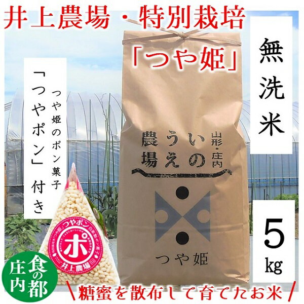 【ふるさと納税】食の都庄内　井上農場の【無洗米（精米）】特別栽培米つや姫5kg　つやポン付（産直出前便）
