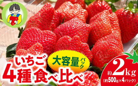 【2026年 先行予約】いちご 4種食べ比べ 大容量パック 約500g×4パック 2kg | いちご いちご いちご いちご いちご