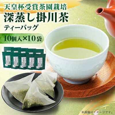 【ふるさと納税】【深蒸し掛川茶】天皇杯受賞茶園栽培茶ティーバッグ(5gX10個入)10袋【配送不可地域：離島・沖縄県】【1091590】
