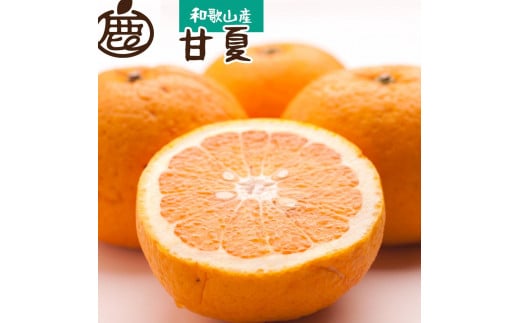
            ［先行予約］厳選 甘夏柑5kg+250g（傷み補償分）［初夏のみかん・旬の果物］［有田産］［光センサー食べ頃出荷］［IKE72］
          
