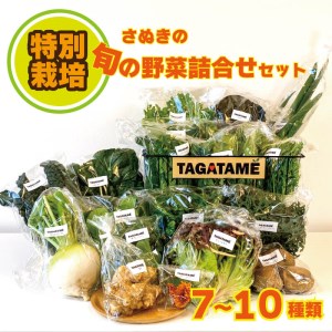 野菜 特別栽培 野菜 セット 栽培期間中 農薬不使用 野菜 7～10種類 の 栽培期間中 農薬不使用 野菜 TAGATAME タガタメ 香川 栽培期間中 農薬不使用 野菜 詰め合わせ セット さぬき市