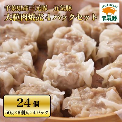 ふるさと納税 多古町 元気豚　大粒肉焼売　4パックセット