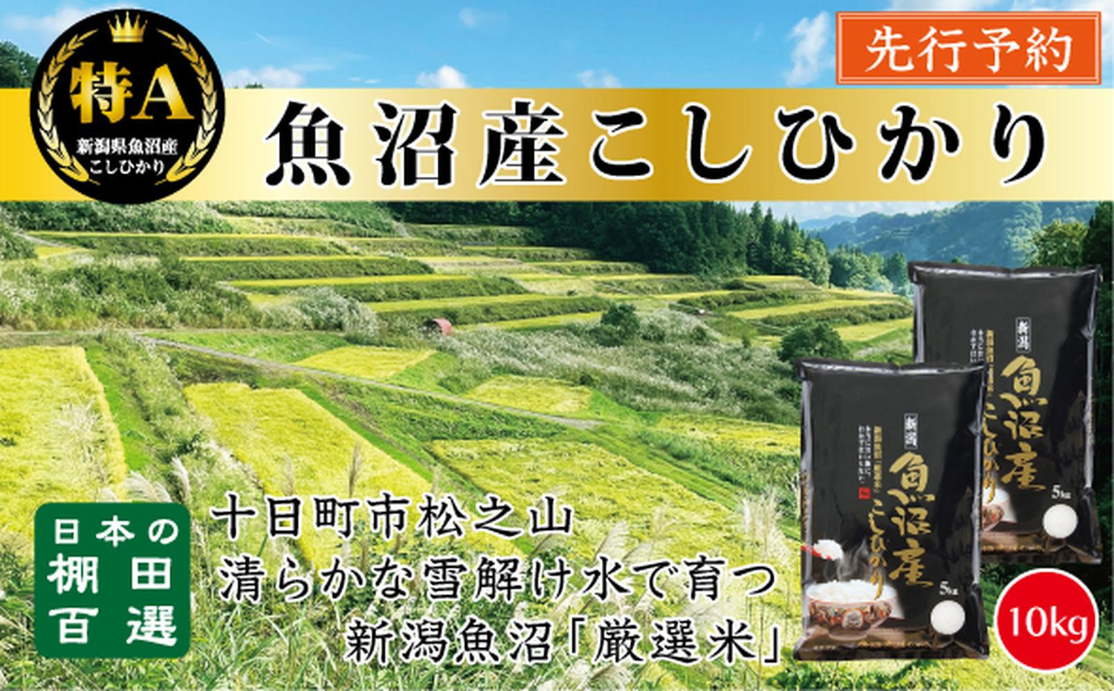 【令和７年産新米予約】【食味鑑定士厳選】　日本の棚田百選　新潟県十日町（魚沼）産　コシヒカリ10kg(5kg×2)