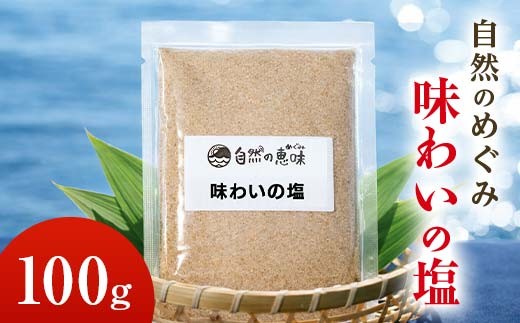 自然のめぐみ「味わいの塩」 100g ブレンド塩 食塩 天然塩 岩塩 安全 F6L-1409