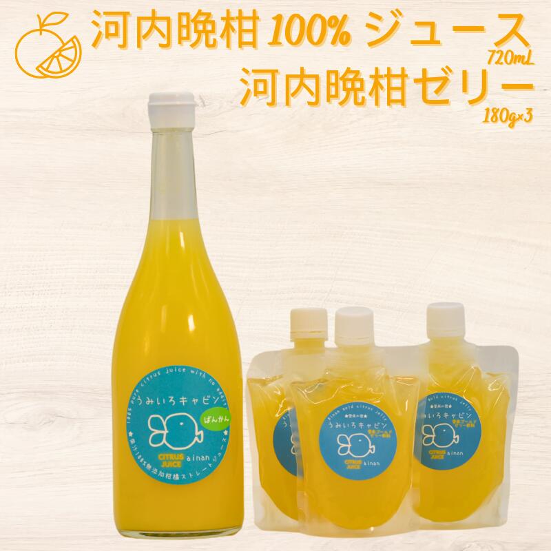 【ふるさと納税】 数量限定 河内晩柑 ( 愛南ゴールド ) ジュース 720ml ゼリー 飲料 3個 セット 愛南 ゴールド オレンジ ジュース 柑橘 果汁 無添加 果汁 100% ジュース 贈答 ギフト プレゼント 愛媛 みかん 蜜柑 ゼリー 国産 焼酎 蒸留酒 うみいろキャビン 愛媛県 愛南町