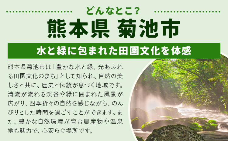 旬の野菜とたまごのセットメロンドーム 野菜 卵 にんにくたまご 卵 詰め合わせ 5ヶ月 定期便 有限会社七城町特産品センター《お申し込みの翌月から出荷》熊本県 菊池市 セット 新鮮 国産 九州産 熊本