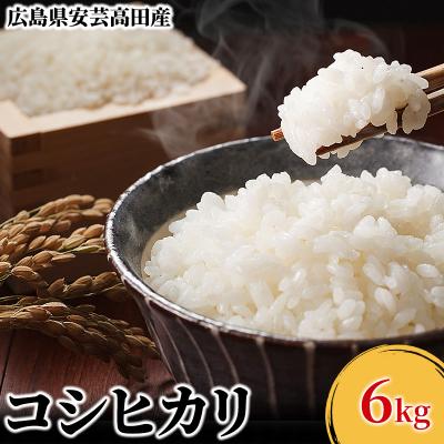 ふるさと納税 安芸高田市 米 令和7年産　広島県安芸高田市産コシヒカリ5kg 精米[No5895-0196]