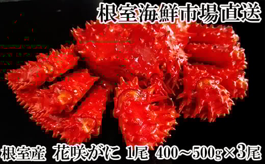 B-11119【年内配送可】 【北海道根室産】花咲ガニ400～500g×3尾
