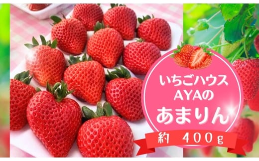いちごハウスAYAのあまりん　約400g ／ 果物 フルーツ 苺 イチゴ プレミアム 採れたて 新鮮 濃厚 甘み 爽やか 酸味 低農薬 埼玉県 特産 No.630