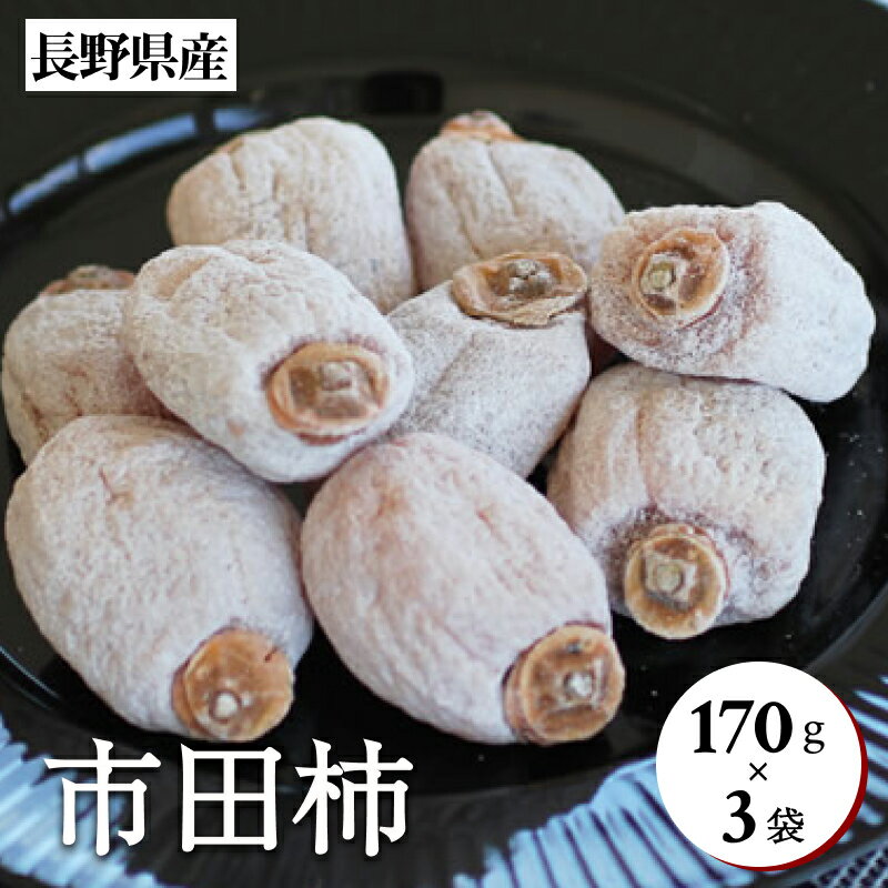 【ふるさと納税】 市田柿 長野県産 南信州 に伝わる 伝統の味 市田柿 170g×3袋 ＜2026年1月上旬～2月下旬発送＞ | 果物 くだもの フルーツ 柿 かき 市田柿 干し柿 長野県 信州 南信州 飯田市 B44