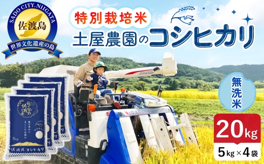 佐渡島産コシヒカリ 無洗米 20kg 令和8年産 特別栽培米 土屋農園 | 新潟県産コシヒカリ 新潟産コシヒカリ 佐渡産コシヒカリ 新潟県産こしひかり 佐渡産こしひかり お米 米 こしひかり 無洗米 むせんまい 精米 おこめ コメ 20キロ にいがた さど 新潟県 佐渡市