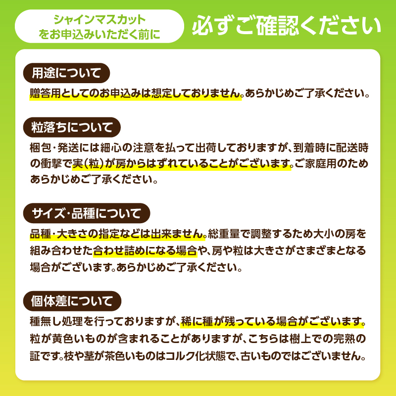 九州・福岡フルーツ王国八女　お楽しみ旬のフルーツ定期便【全５回】B｜＜配送不可：北海道・沖縄・離島＞