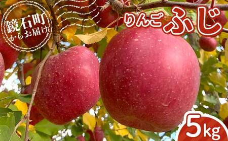 【ふるなびWEEK対象】＜先行予約＞福島県産 甘い りんご ふじ 5kg （12玉～20玉） リンゴ フルーツ 果物 FN-Limited-PR F6Q-289