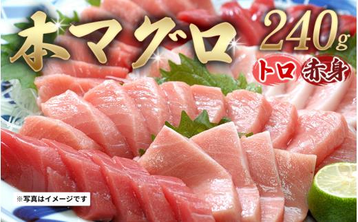 【串本町×北山村】本マグロ（養殖）トロ＆赤身セット 240g 【11月発送】【配達日指定不可】【nks113-11】