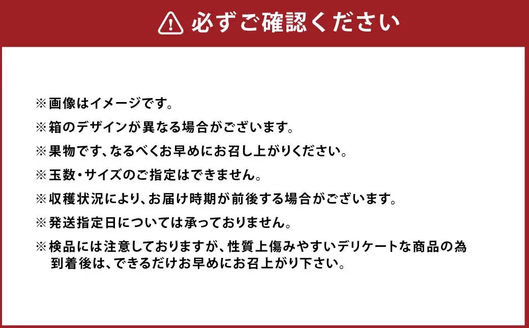 A155 福岡県山川産 極早生 塩みかん(緑) 5kg 【2026年9月下旬～10月下旬発送予定】 早採り 蜜柑