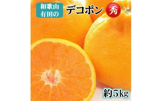 【秀品】和歌山有田のデコポン！約5kg【2027年1月下旬以降順次発送】【NGT2】