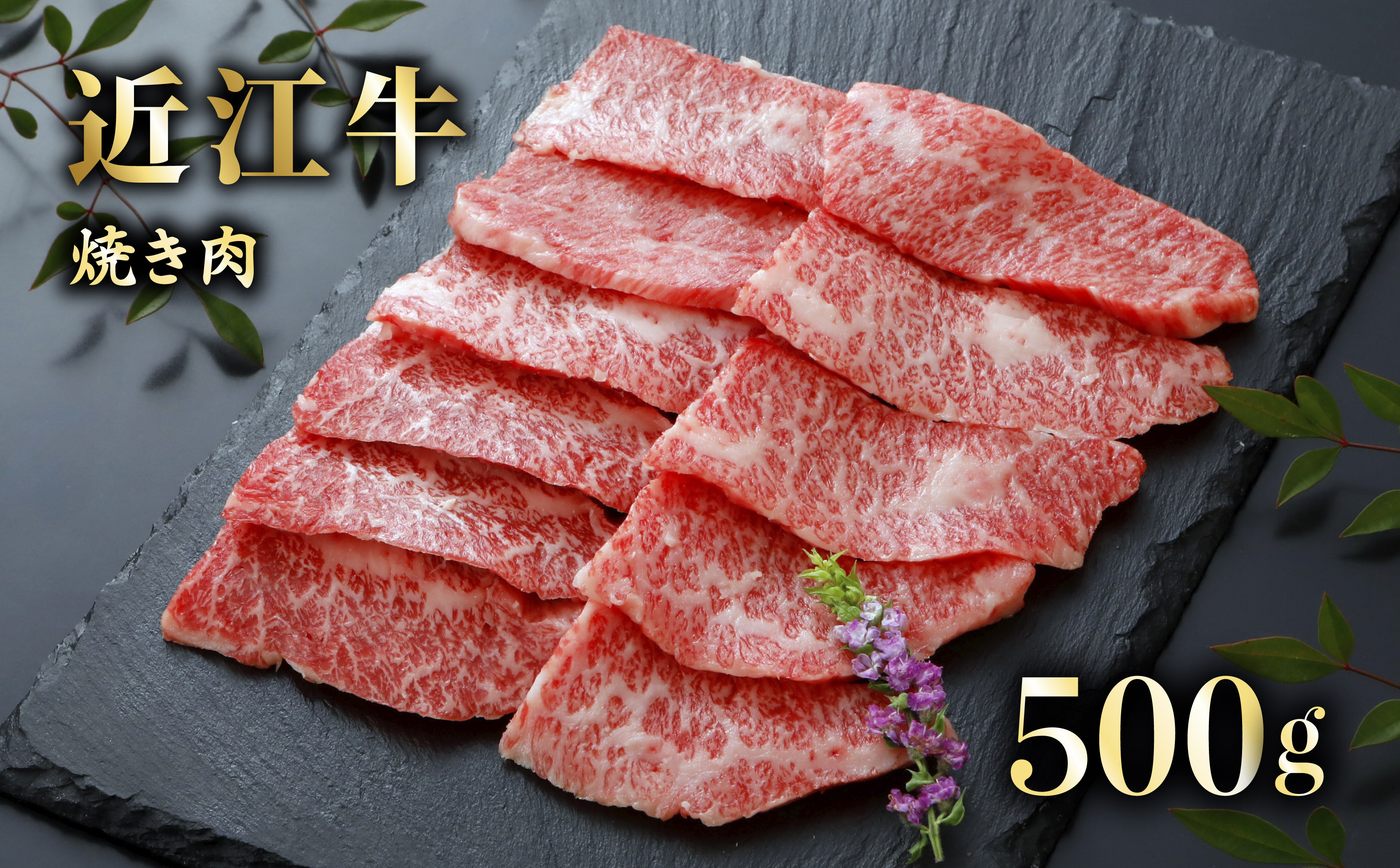 
            【近江牛】 A5 焼肉 500g 近江牛焼肉 焼き肉 焼肉用  牛肉 肉 お肉 和牛 黒毛和牛 国産 国産牛 日本三大和牛 雌牛 メス牛 ブランド牛 カルビ バラカルビ 赤身カルビ お歳暮 おすすめ 滋賀 彦根
          
