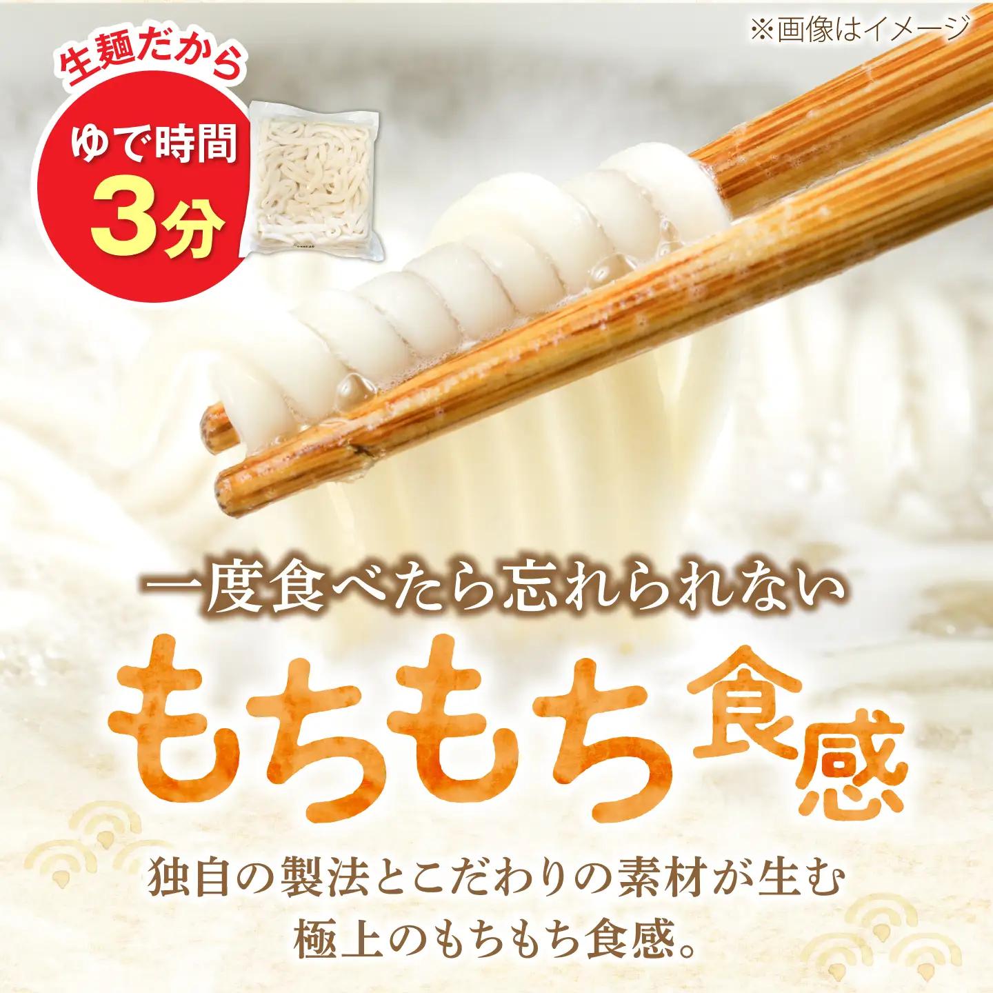 【全6回定期便】カレーうどん 8食 [VAI065] カレーうどん
