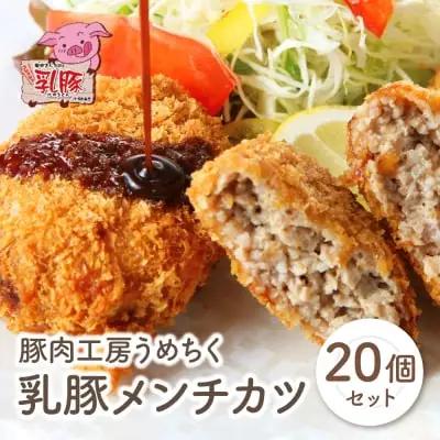 AA04-09 乳豚 メンチカツ20個 メンチカツ