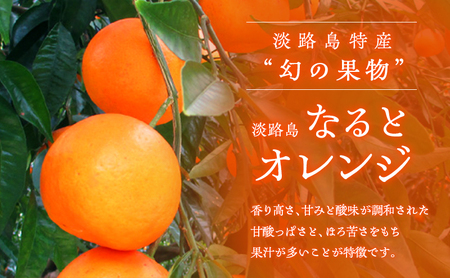 淡路島なるとオレンジ 10kg 兵庫県 洲本市 淡路島