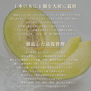 アローマ メロン 2玉 1玉 あたり 1.3kg以上 白級 静岡県温室農業組合直送 国産 スイーツ デザート おやつ めろん 舐瓜 果物 くだもの フルーツ 人気 贈り物 プレゼント 厳選 静岡県 牧