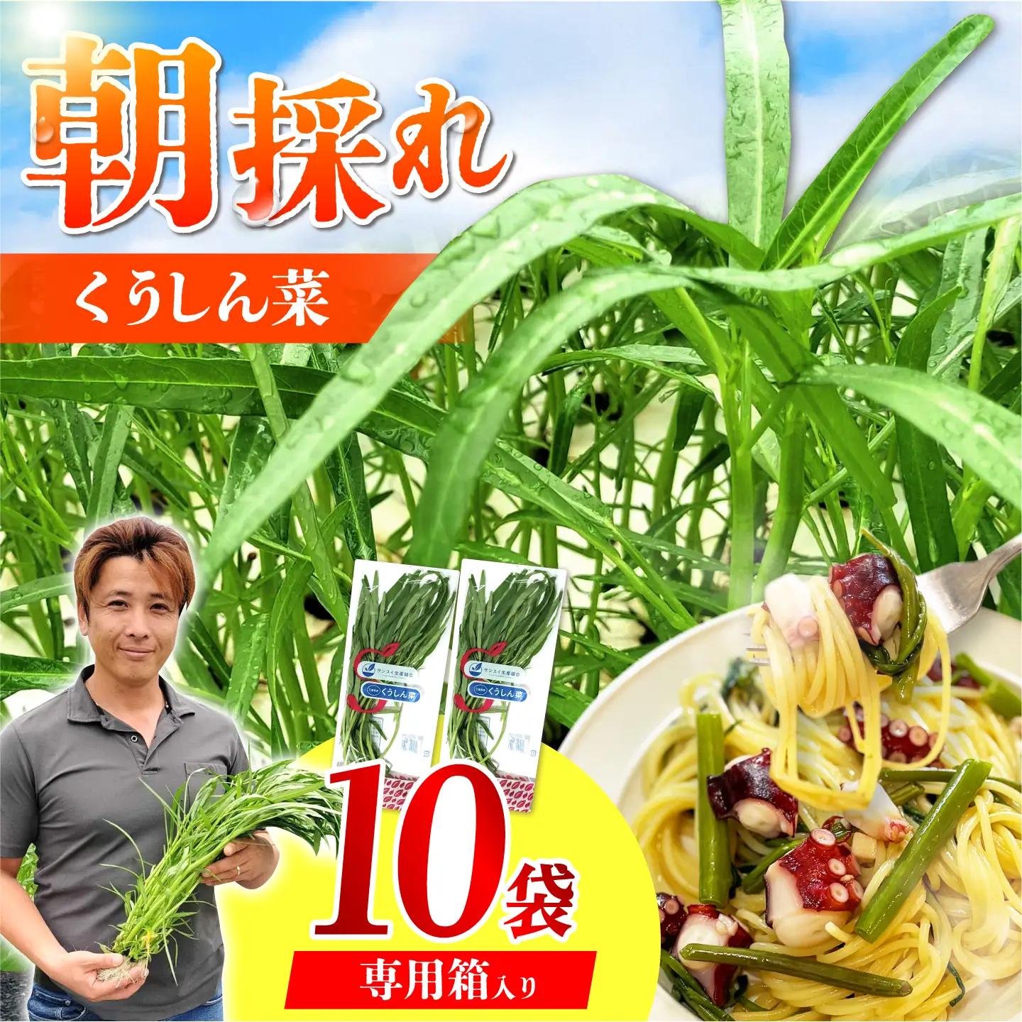 【ほうれん草の代わりになる】くうしん菜（空心菜）10袋 新鮮 野菜 葉物野菜 サラダ 国産 小分け AMCD004