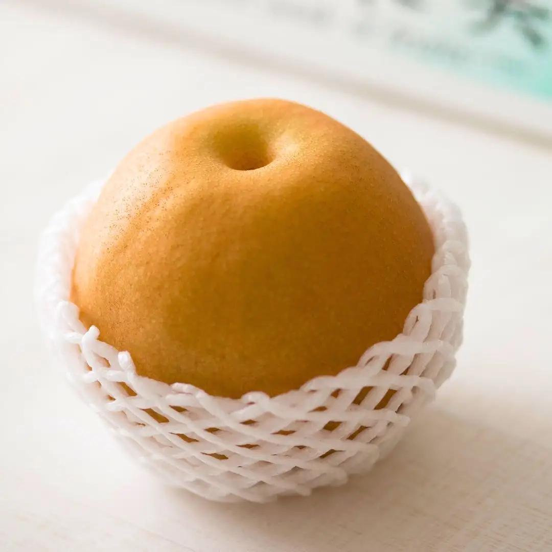先行予約 新潟オリジナル和梨 新王 自家用 約3kg 令和8年度 新潟県 三条市産 三条果樹専門家集団