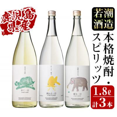 ふるさと納税 志布志市 ≪一日シリーズ≫飲み比べセット 1800ml×3本　 c4-014