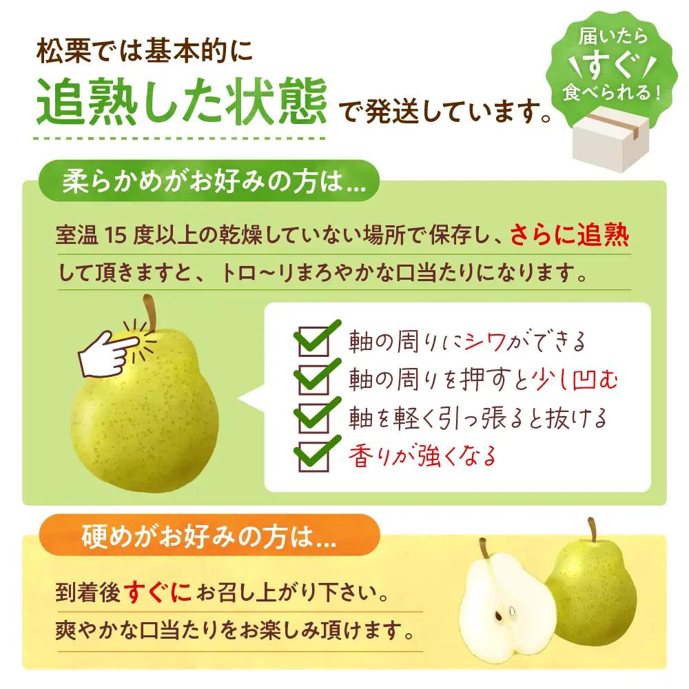 2026年産 ラフランス 秀品 2kg ラフランス 洋なし ギフト