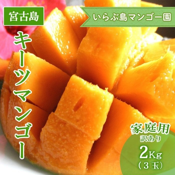 【ふるさと納税】【先行受付】＜2026年発送＞いらぶ島マンゴー園　宮古島産希少“キーツマンゴー”《家庭用》2kg(3玉)（HR09）