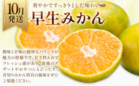 旬の フルーツ 定期便 2ヶ月連続 秀品 リッチ 日本フルーツ株式会社《9月より出荷開始》熊本県 荒尾市 おまかせ 梨 早生みかん 果物 フルーツ スイーツ デザート ギフト ご贈答