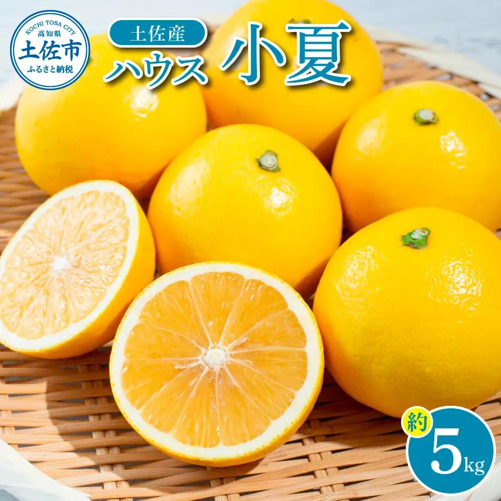 【先行予約】【先行予約】自然の味をそのままに旨味の塊ハウス小夏約5kg〈2027年4月下旬から発送開始〉高知県土佐市 【やの一果彩】 [BQAC037]
