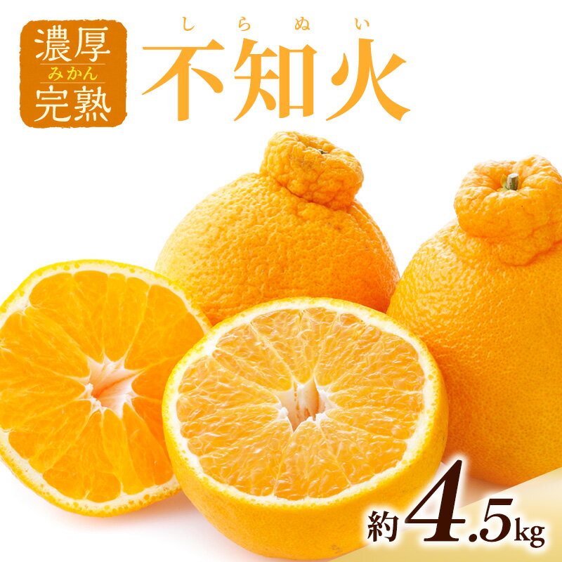 【ふるさと納税】濃厚・完熟 みかん「不知火」A品（ちょいきず） 果物 フルーツ 柑橘 ミカン デコポン 甘い デザート ビタミン 家庭用 大容量 産地直送 静岡県 森町　お届け：2026年3月5日～2026年3月31日